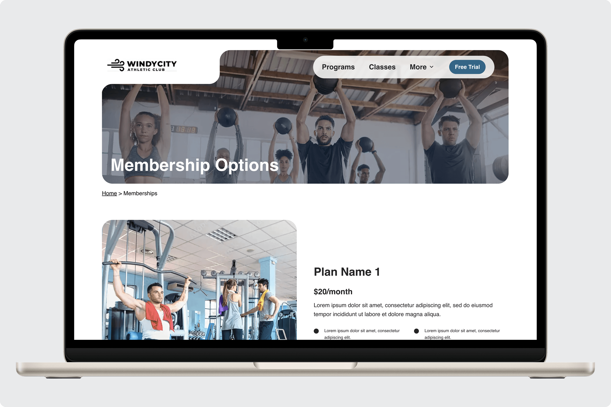 Ace Minimal Theme gallery image 6