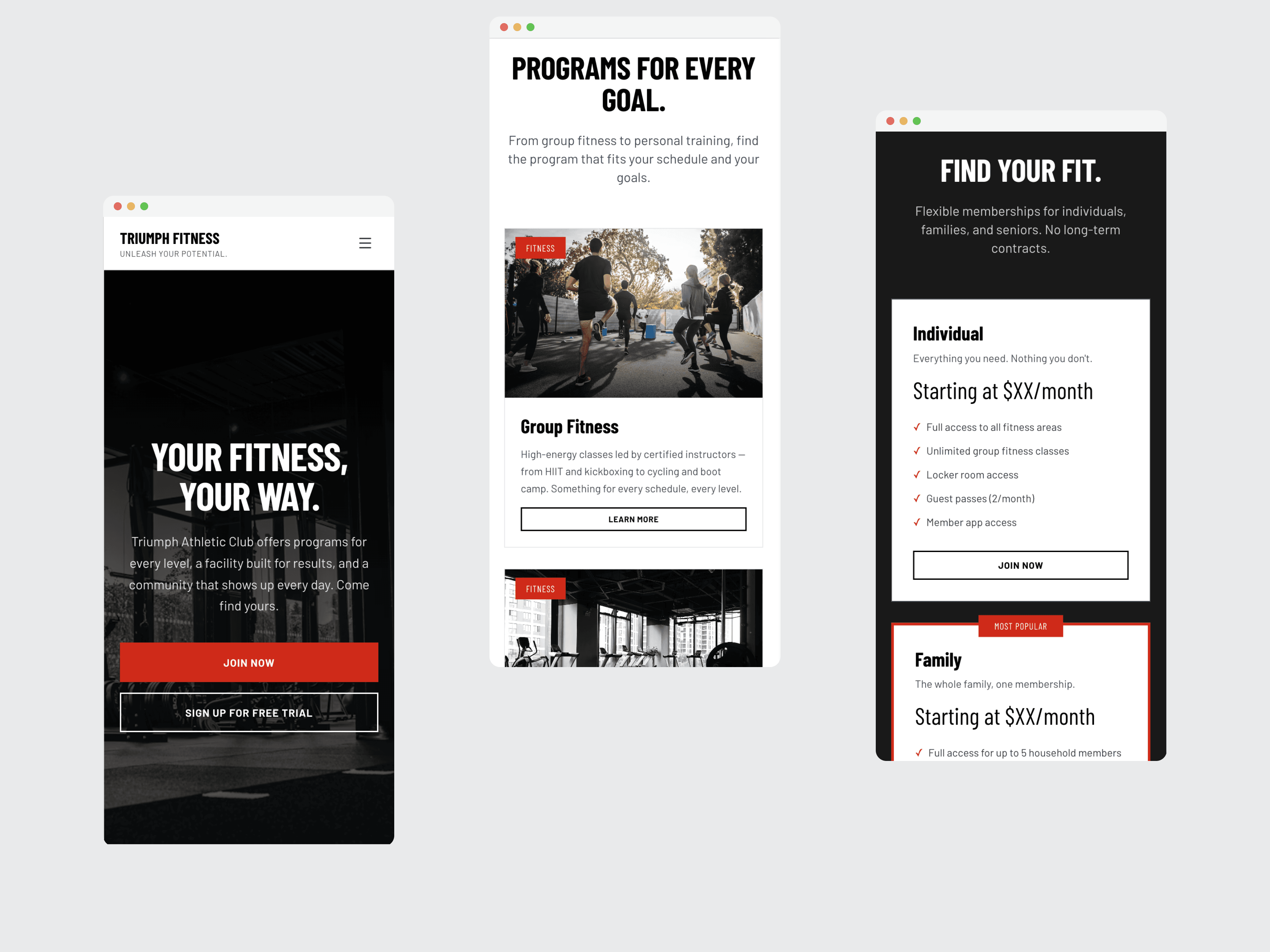 Triumph Fitness Theme gallery image 4
