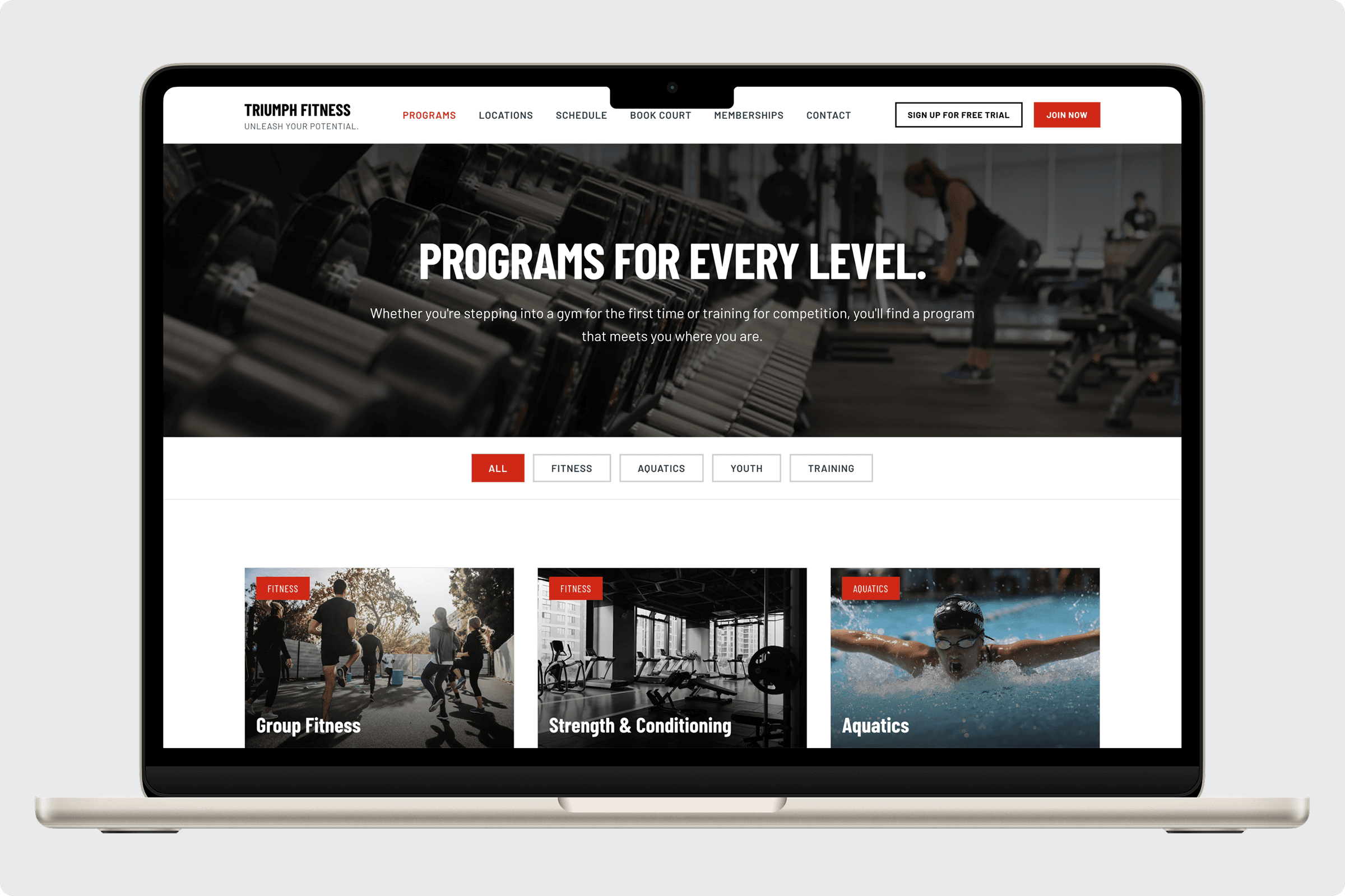 Triumph Fitness Theme gallery image 2