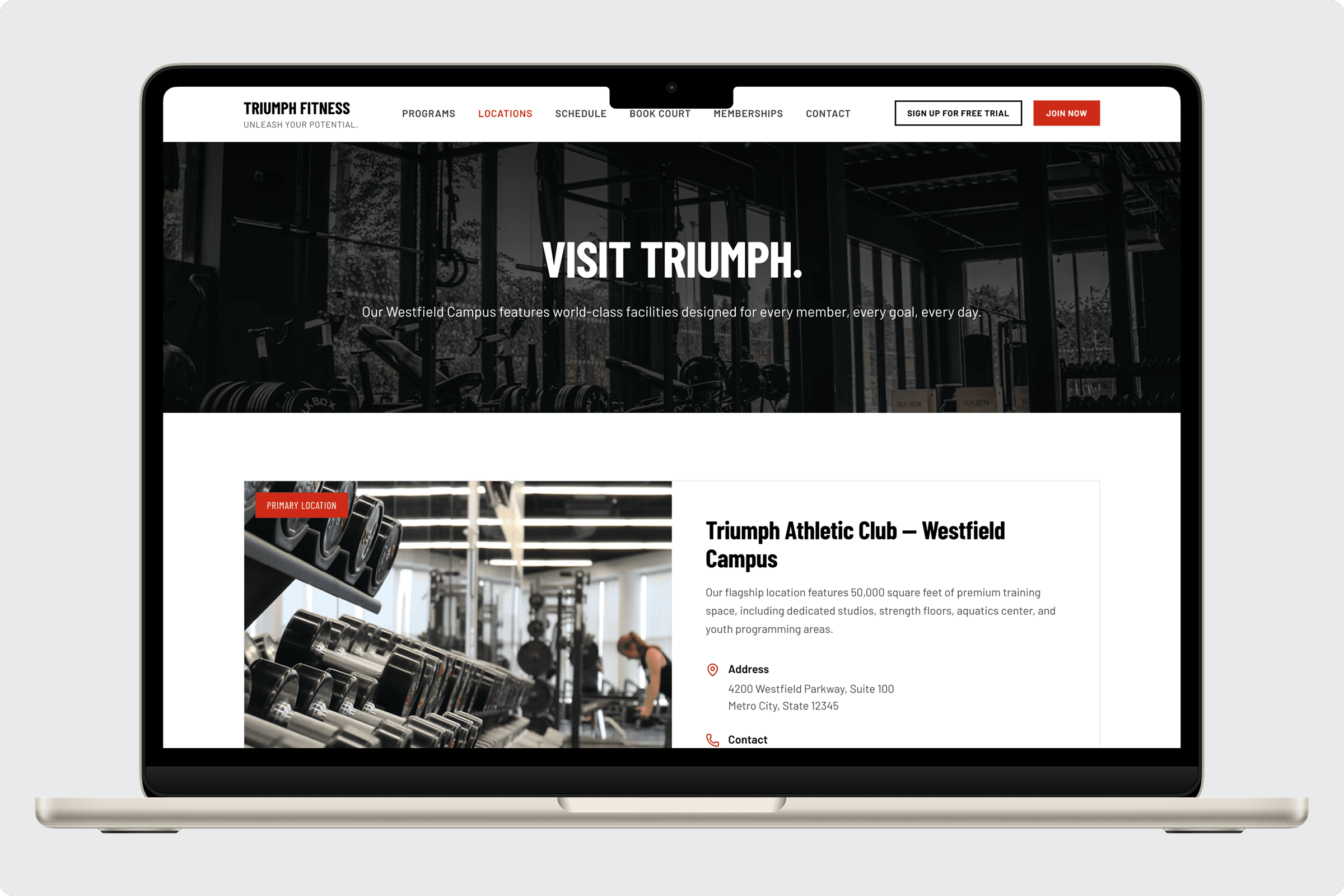 Triumph Fitness Theme gallery image 5