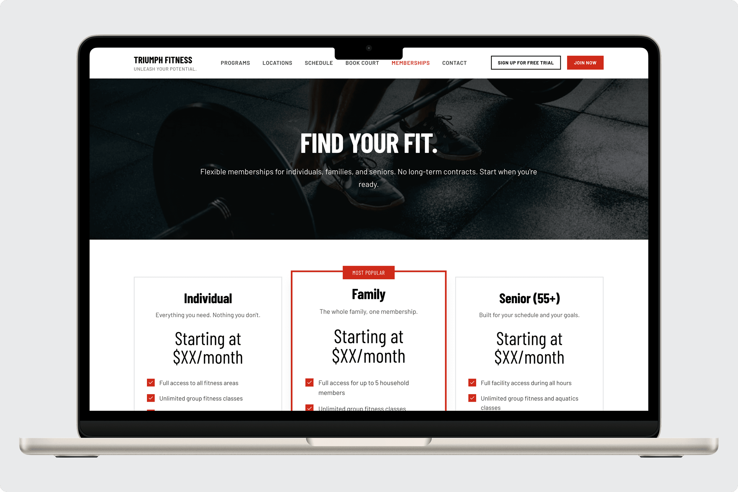 Triumph Fitness Theme gallery image 6